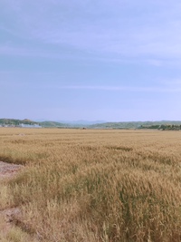 4/30　 掛川店　のどかな風景 2018/04/30 09:59:25