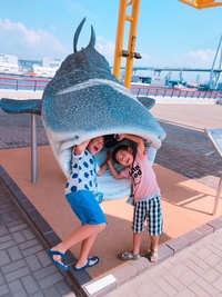 8/26　掛川店　水族館 2018/08/26 20:55:23