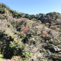 春爛漫、春を探して♪ 2018/03/29 10:55:31