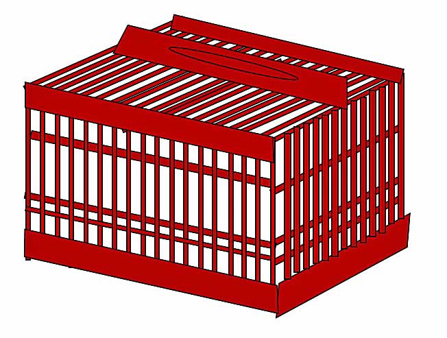 源氏物語　二十八帖　野分　虫かご