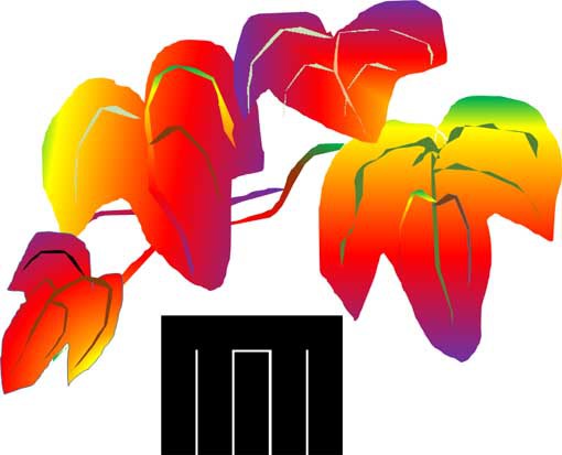 ４９帖　宿木　組香図と紅葉した蔦の葉