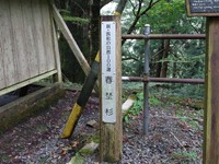「新・浜松の自然100選」の標柱