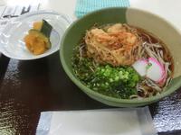 「冷やしかき揚げそば」＋カボチャ