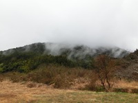 秋葉山