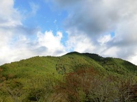 朝の秋葉山