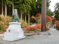 秋葉神社上社の紅葉