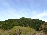 秋葉山