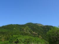 秋葉山