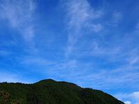 秋の青空