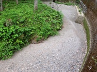 水涸れの阿蔵川