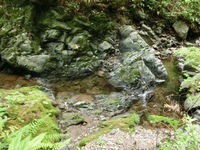 水が流れる阿蔵川