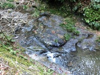 阿蔵川の川床
