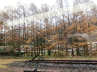 ワイドビューしなの車窓風景