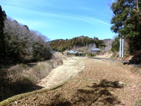 青谷