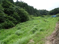 耕作放棄された水田跡