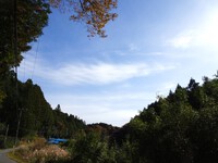 青空
