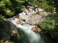荒川