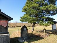 朝顔の松公園