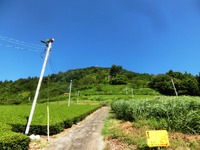 粟ヶ岳ハイキングコース