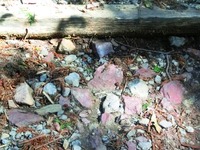 小豆坂の赤石チャート