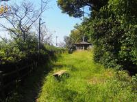 馬場平