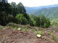 180回目の秋葉山⑬―送電線下の支障木伐採