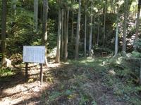矢場