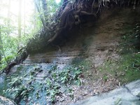 石段脇の地層