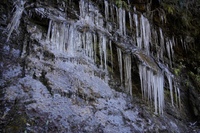 北遠の氷壁、氷瀑、氷柱⑤―最後の冬景色
