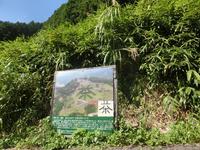 「茶」の字の看板