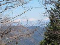 茶臼山から南アルプスを望む