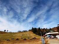 茶臼山高原