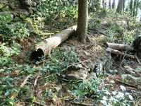 十八丁茶屋跡の石積み