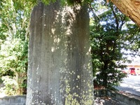 「明治三十七八年戰役凱旋記念」碑