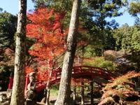 大洞院の紅葉