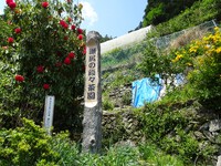 「瀬尻の段々茶園」