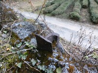 積出デッキ跡の廃レール