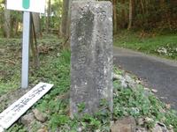 「天保の道標」