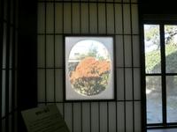 歪みガラスを通して見る紅葉