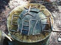 「５月２日」の枝文字