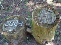 枝文字と石文字