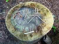 「秋葉山」の枝文字