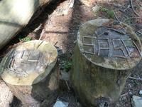 枝文字