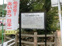 「気賀近藤陣屋遺木江戸椎」の解説看板