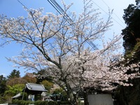 栄林寺