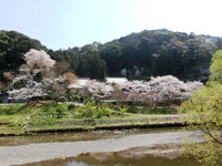 栄林寺