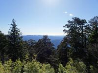山頂からの遠望