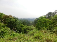 南側の風景
