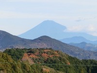 中腹から見た富士山