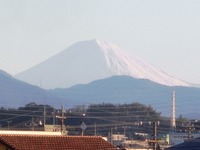 朝の富士山